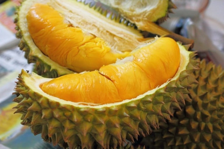 buah-durian-montong