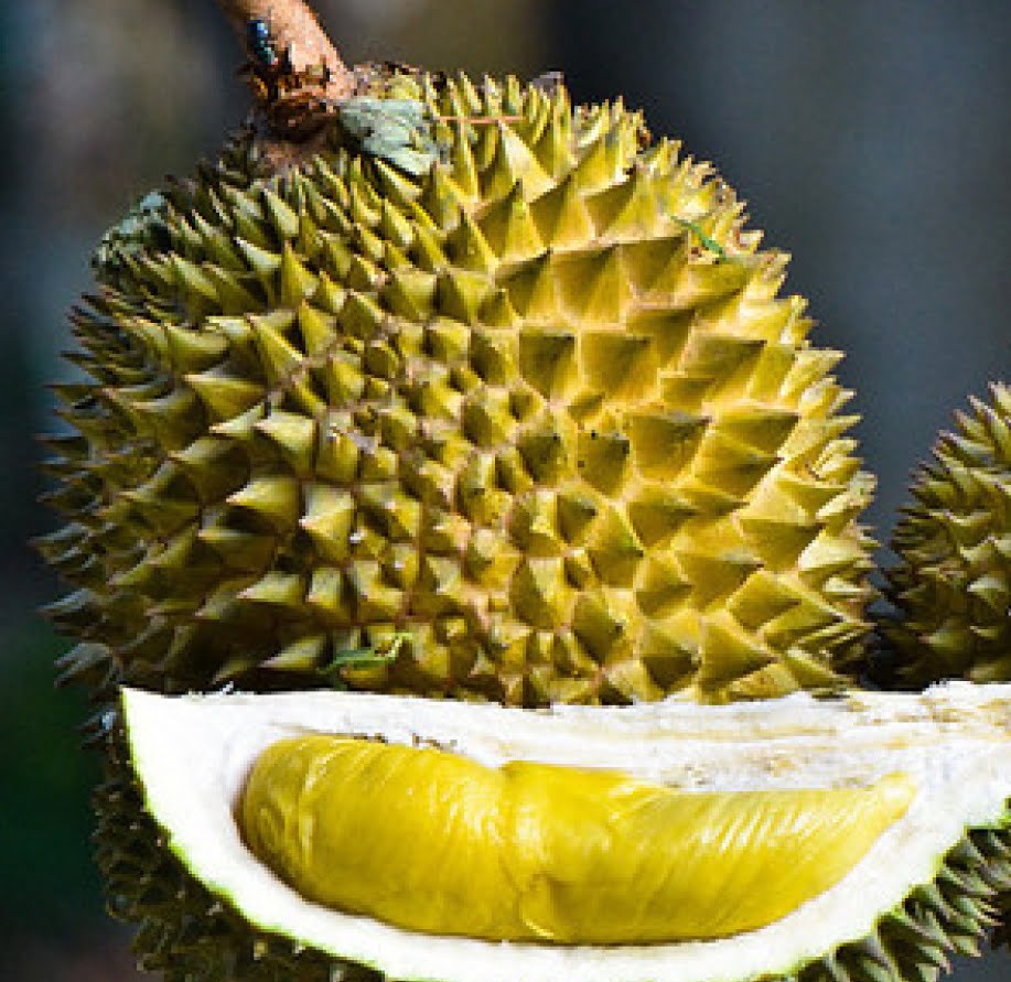 kesan durian kepada buah pinggang