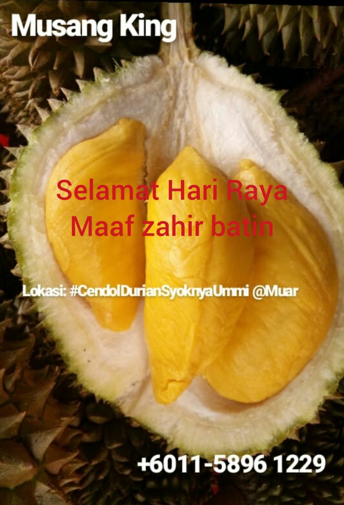 Durian murah muar 2019