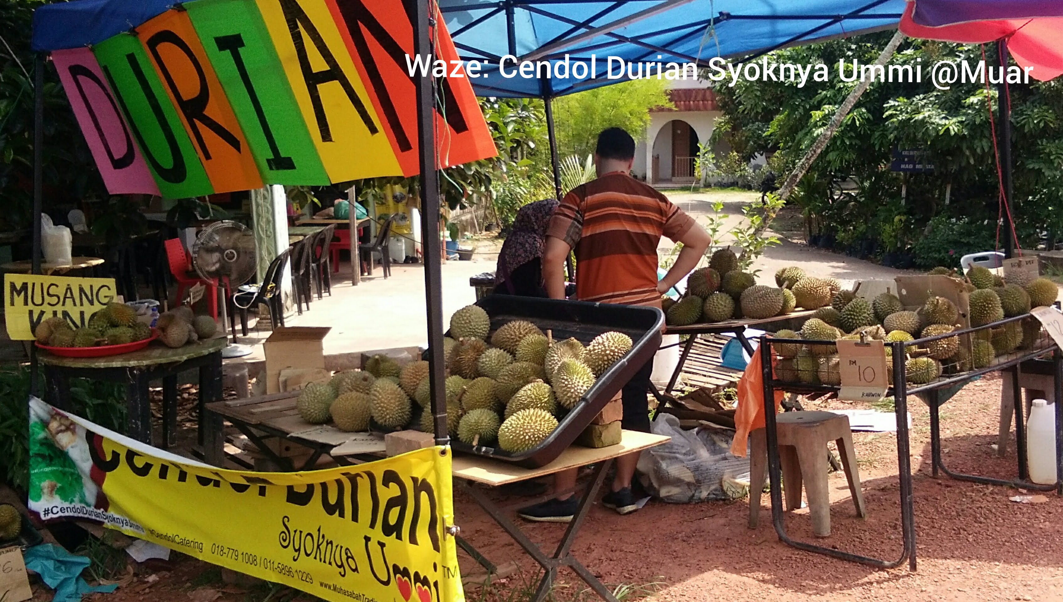 Durian murah Muar Tangkak 2019
