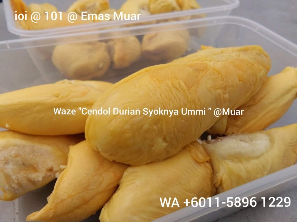 Pembekal isi durian frozen Johor