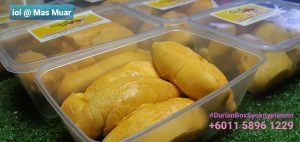 Pembekal isi durian frozen JB