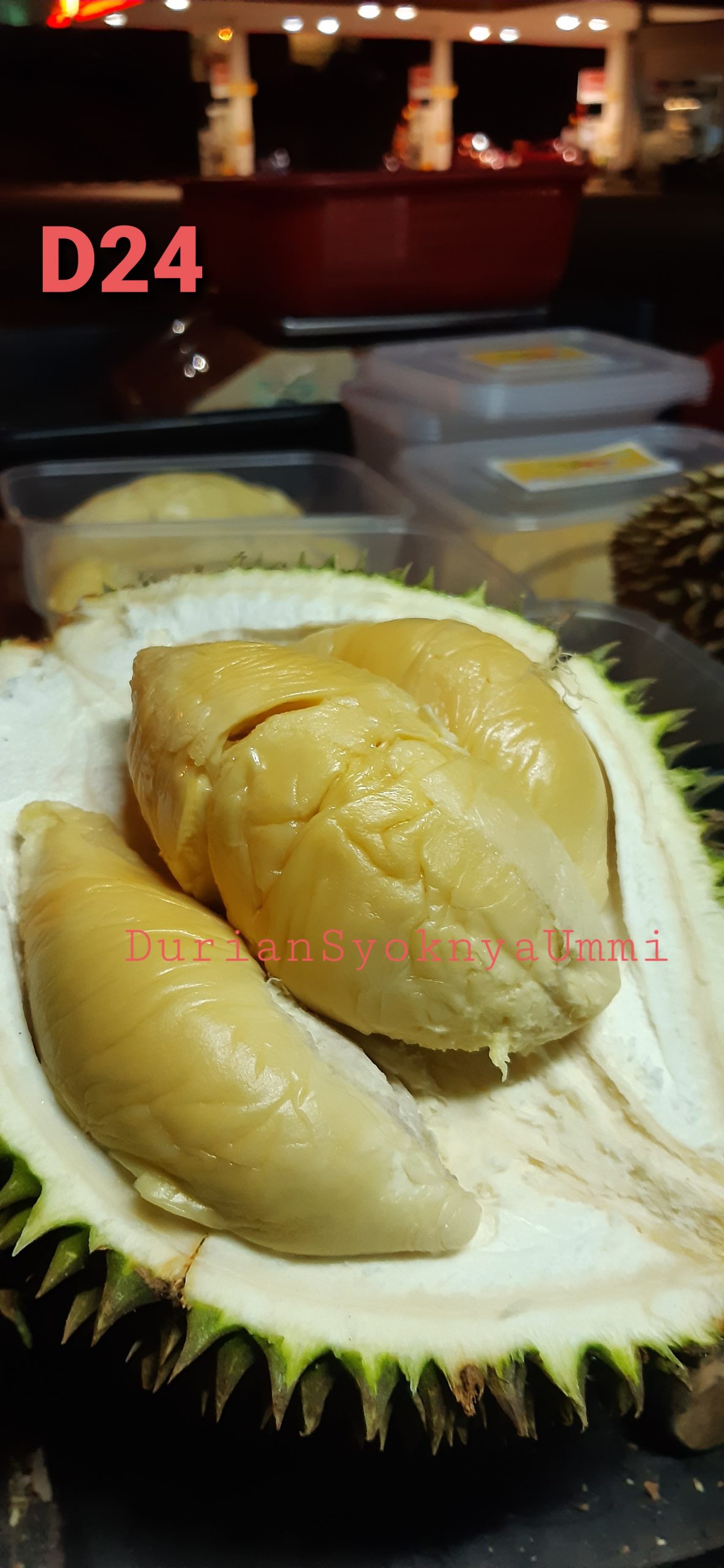 Durian udang merah johor