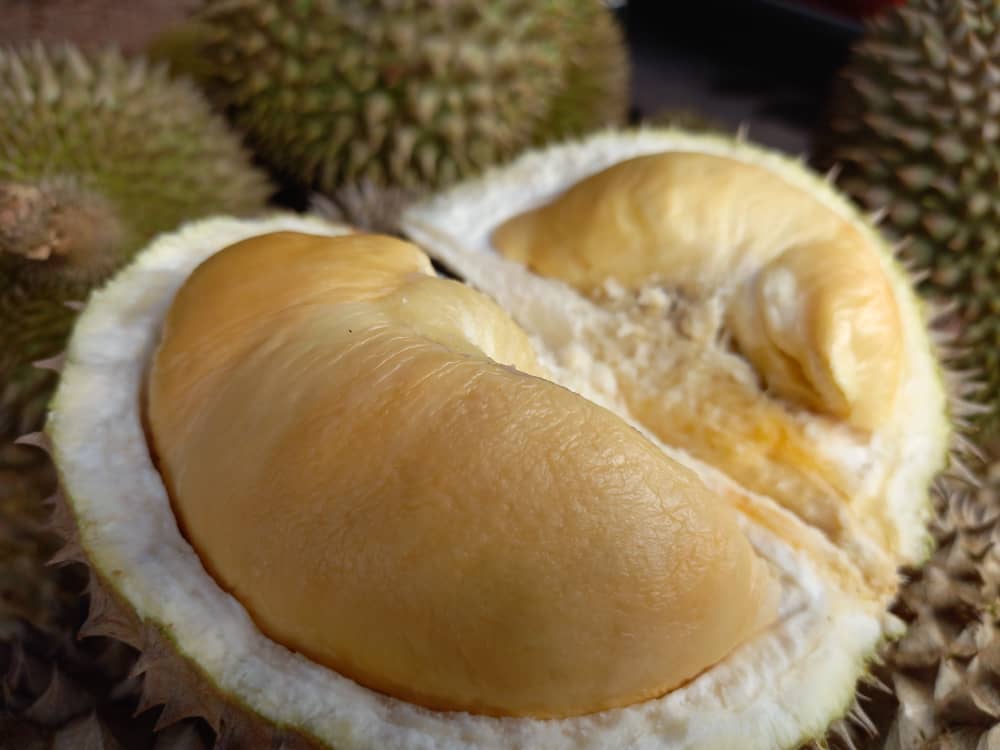 Harga Durian Muar 2022 Mei 